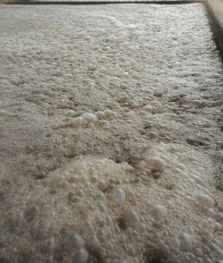 (圖:污水池泡沫)