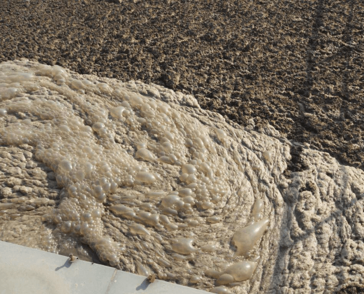 （圖：污水處理生化池泡沫多）