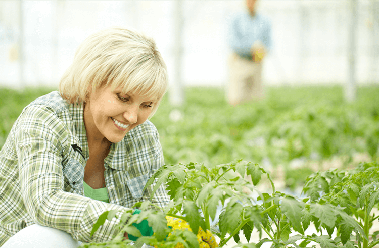 (圖:南輝消泡劑廠家除草劑消泡劑運用)