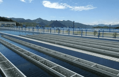 （生物水處理消泡劑應(yīng)用場景）